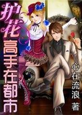 免费小说护花高手在都市